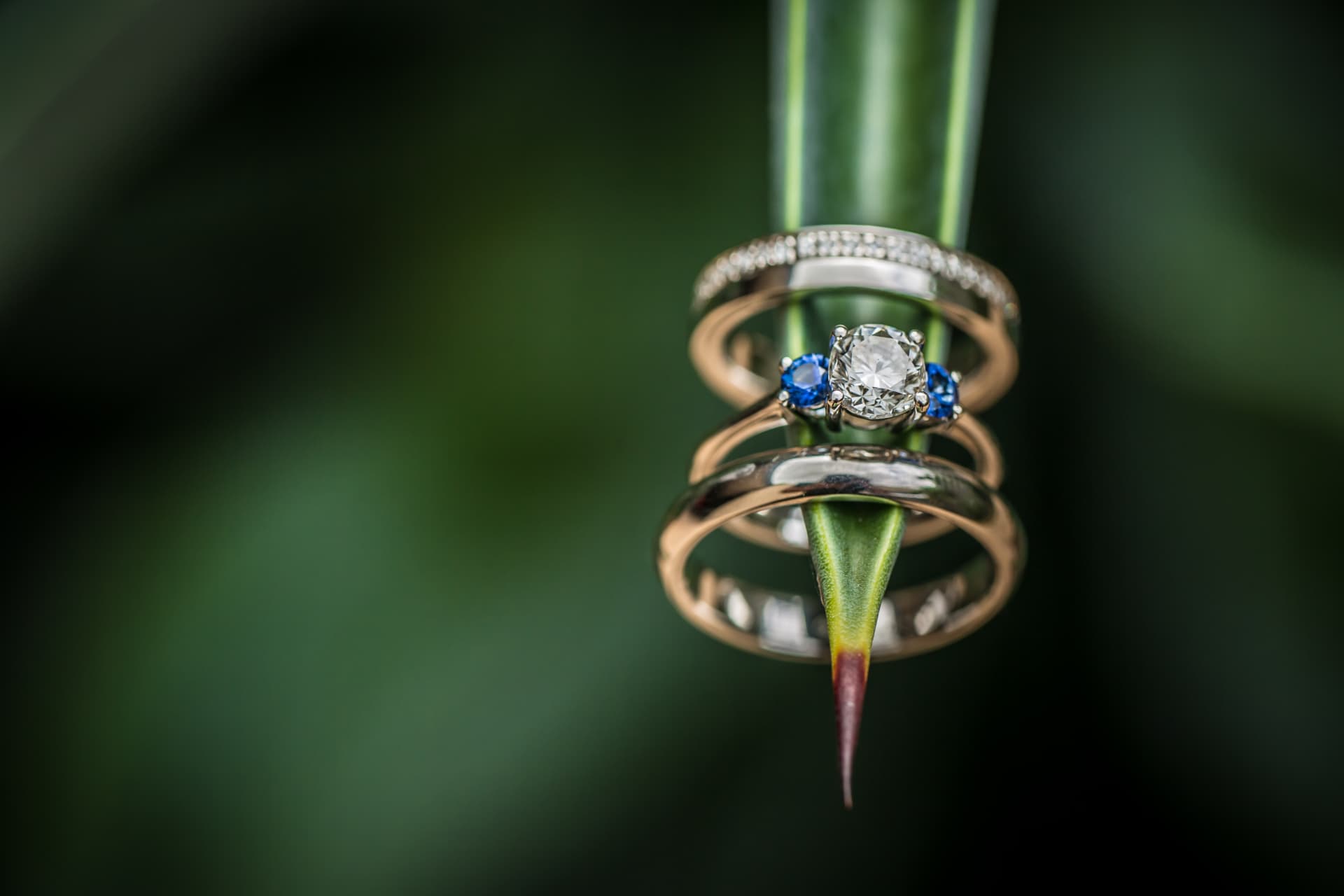 Anillos de boda con diamante y piedras azules dispuestos sobre una hoja verde